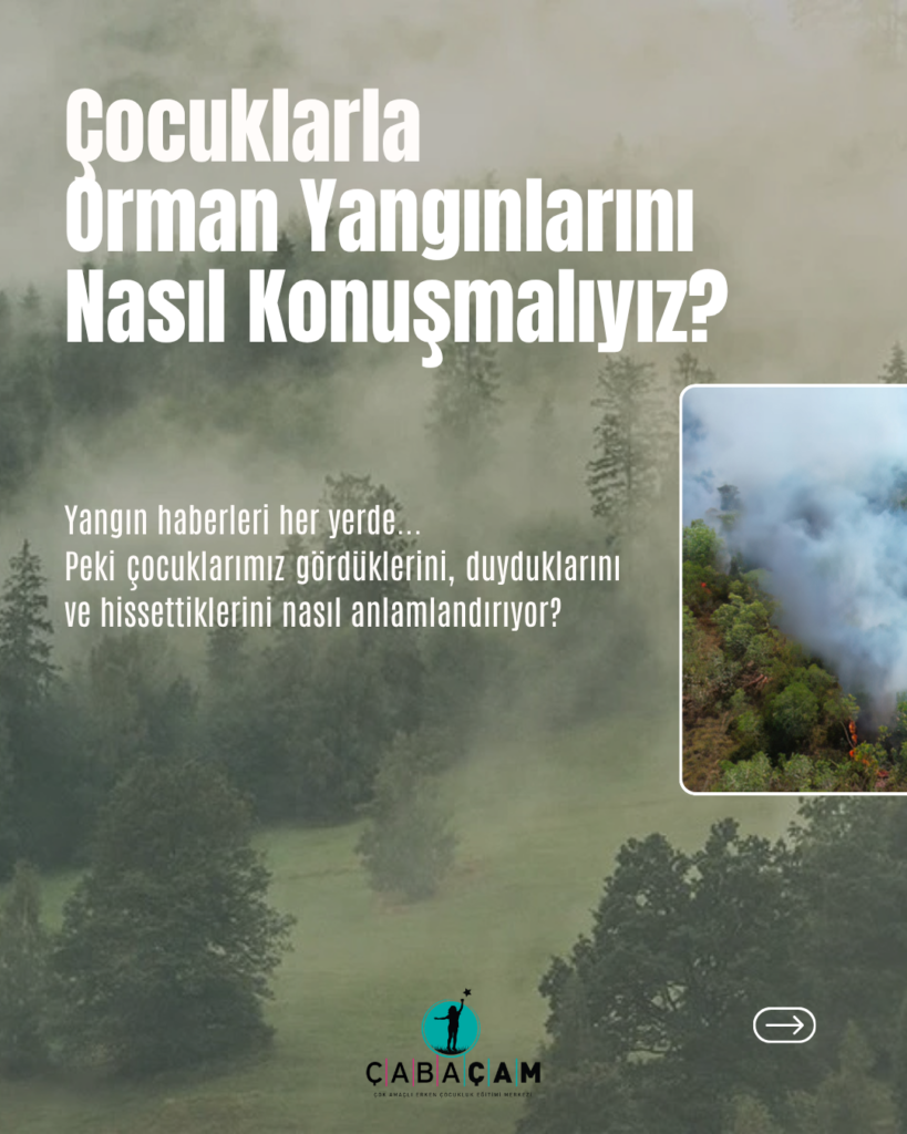 ağaç, yazı, metin, orman,