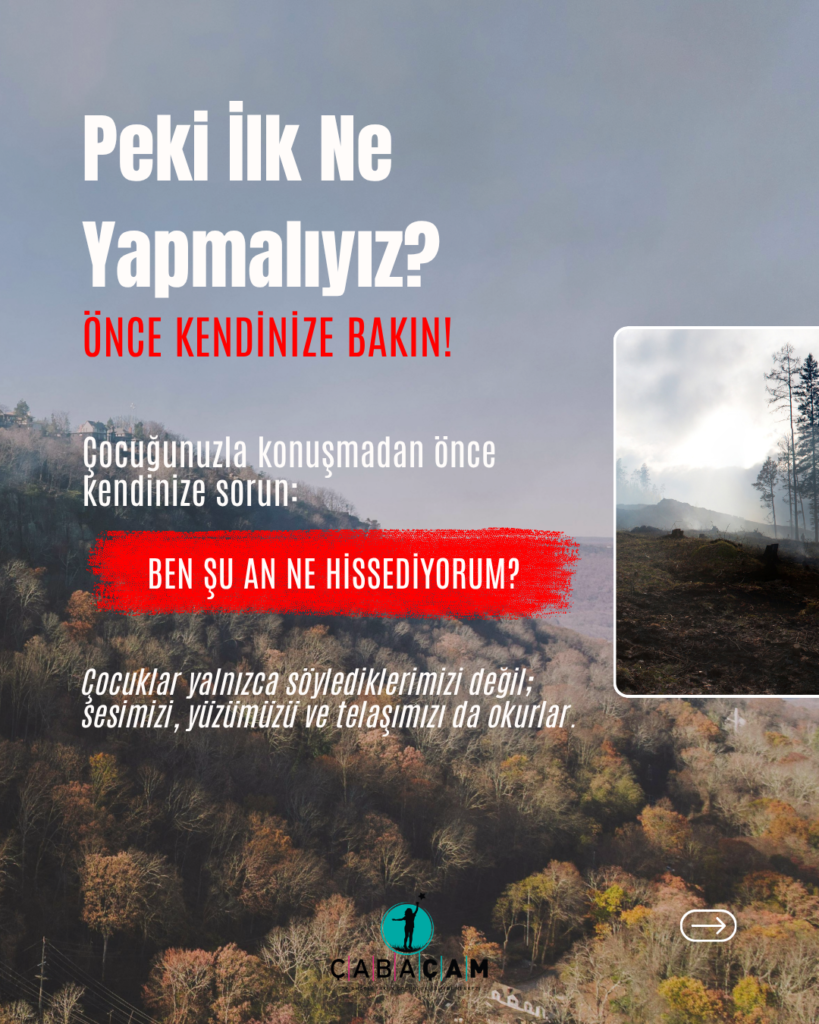 ağaç, yazı, metin, orman,
