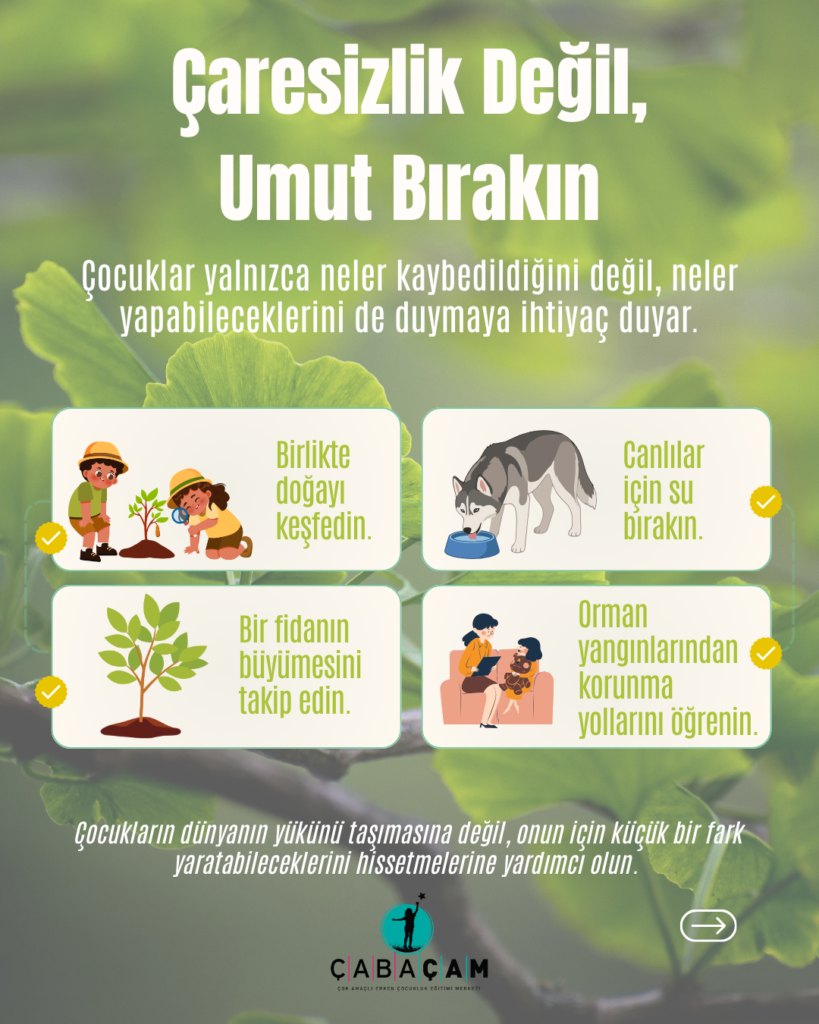 ağaç, yazı, metin, orman,
