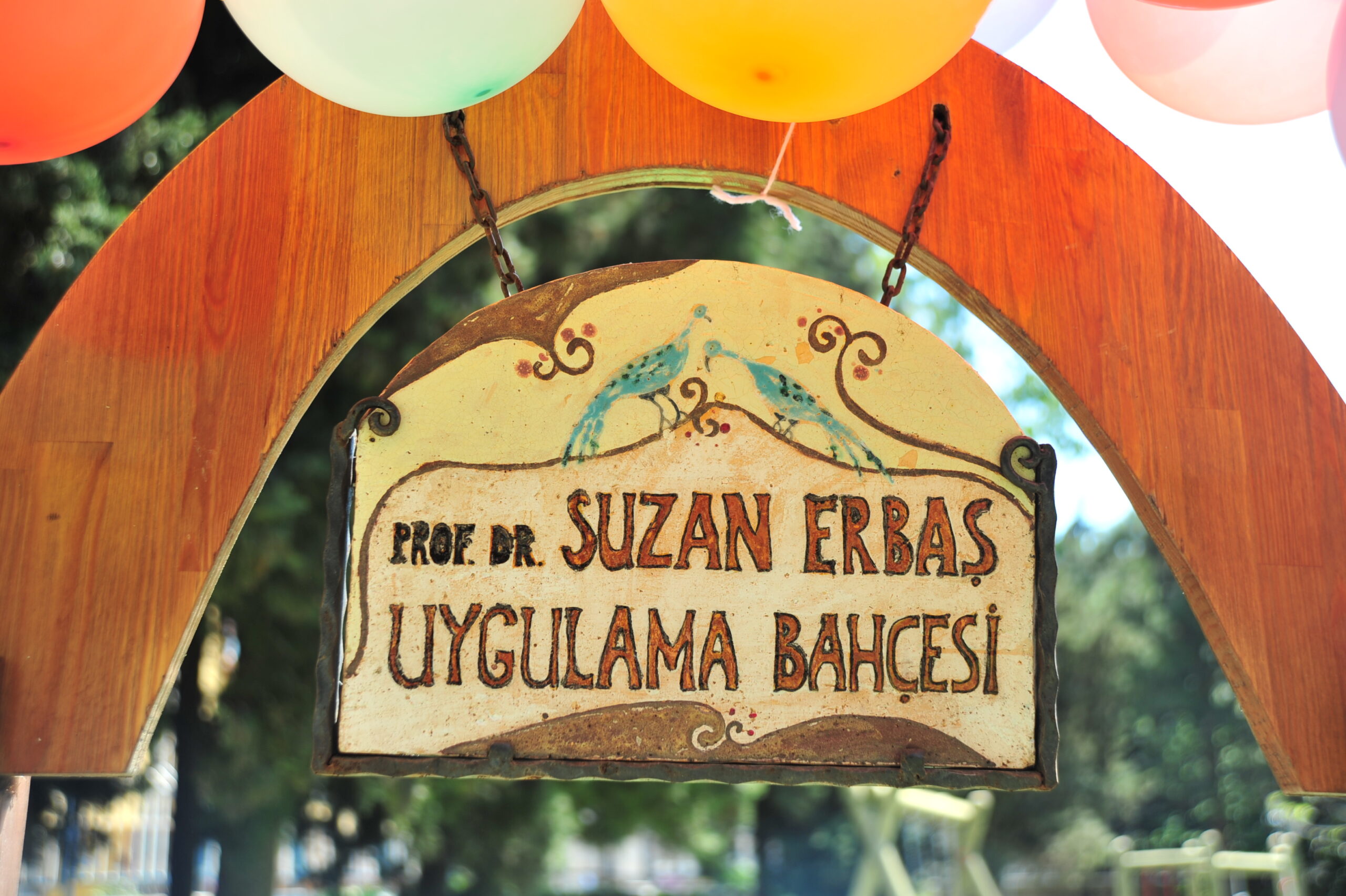 bahçe,